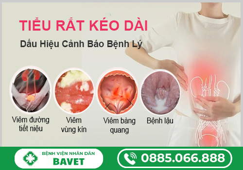 TIỂU RẮT Ở NỮ GIỚI: NGUYÊN NHÂN, BIẾN CHỨNG VÀ CÁCH ĐIỀU TRỊ HIỆU QUẢ