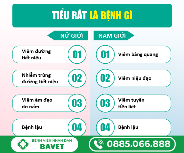 BÁC SỸ TƯ VẤN TIỂU RẮT