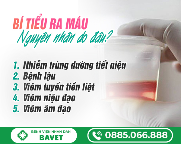 BÍ TIỂU TIỂU RA MÁU LÀ BỆNH GÌ?