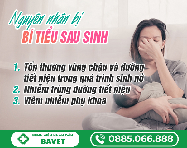 BÍ TIỂU SAU KHI SINH
