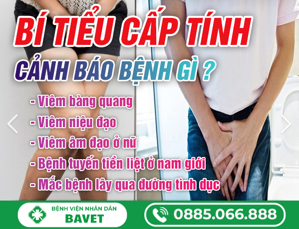 TIM HIỂU BÍ TIỂU CẤP TÍNH LÀ GÌ?