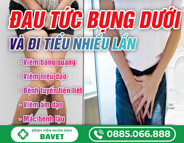 ĐAU TỨC BỤNG DƯỚI VÀ ĐI TIỂU NHIỀU LẦN