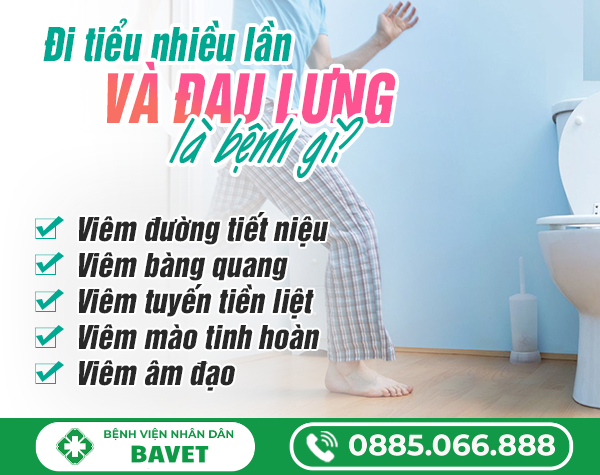 ĐI TIỂU NHIỀU LẦN VÀ ĐAU LƯNG