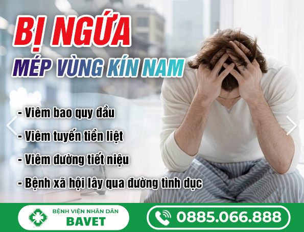 BỊ NGỨA MÉP VÙNG KÍN NAM LÀ BỊ GÌ?