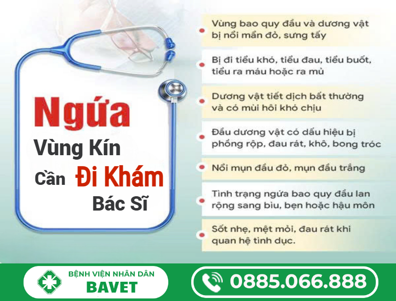 NGỨA DƯƠNG VẬT LÀ GÌ?