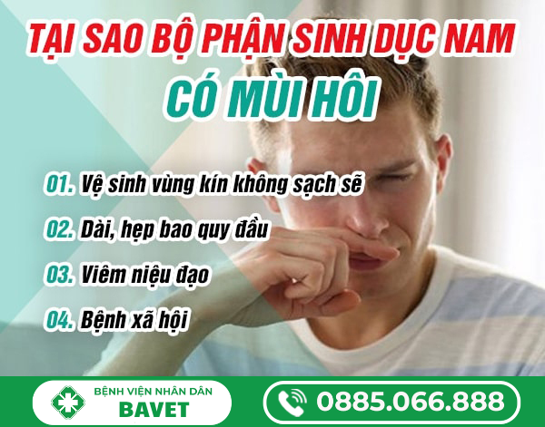 BỘ PHẬN SINH DỤC NAM CÓ MÙI HÔI
