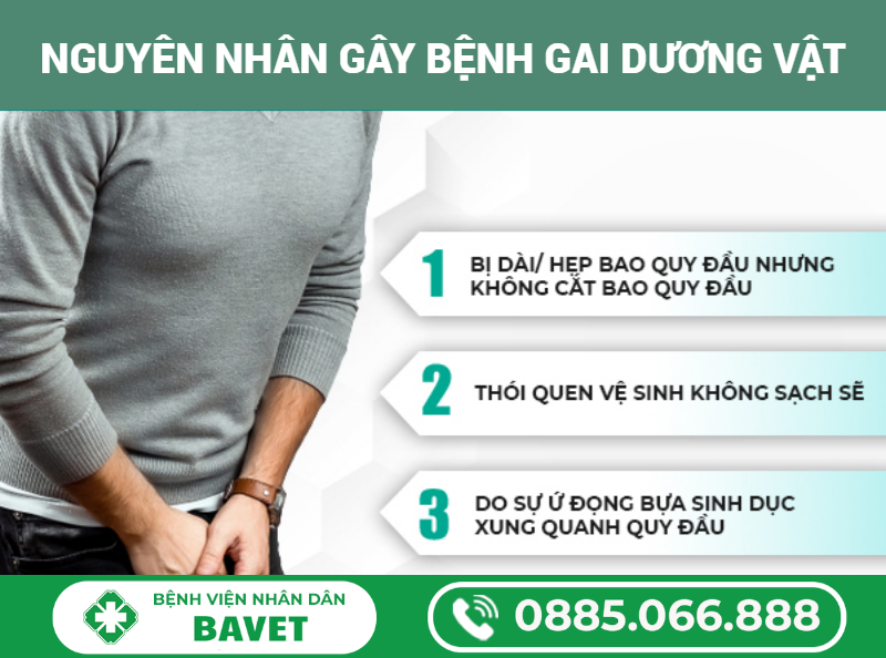 BỆNH GAI SINH DỤC Ở NAM GIỚI 