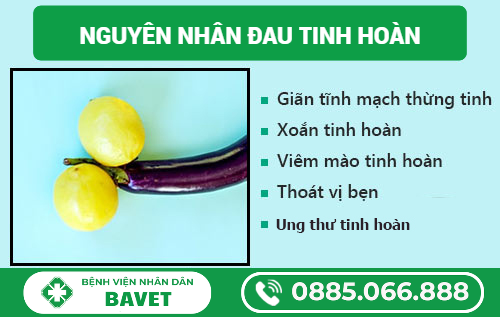 ĐAU HAI BÊN TINH HOÀN