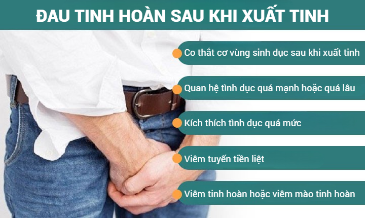 BÁC SĨ TƯ VẤN ĐAU TINH HOÀN