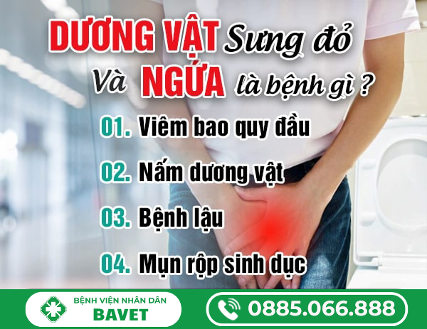 DƯƠNG VẬT BỊ SƯNG ĐỎ VÀ NGỨA