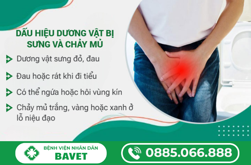 DẤU HIỆU DƯƠNG VẬT BỊ SƯNG VÀ CHẢY MỦ