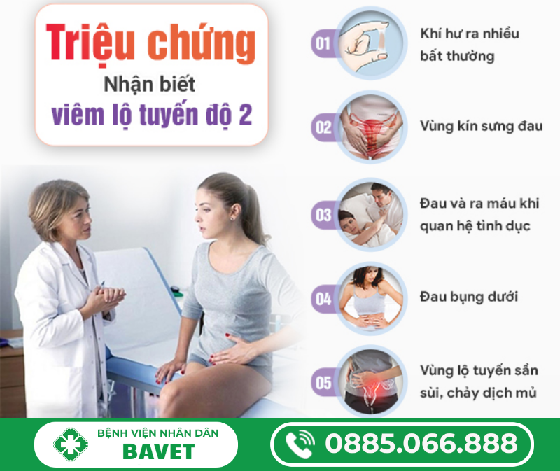 VIÊM LỘ TUYẾN CỔ TỬ CUNG CẤP ĐỘ 2 LÀ GÌ?