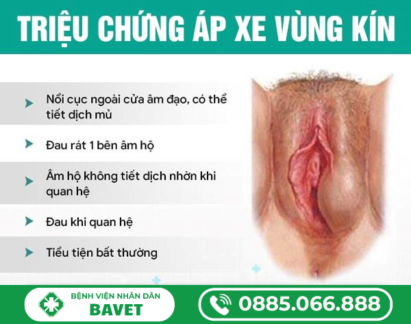 MỤN ÁP XE Ở VÙNG KÍN