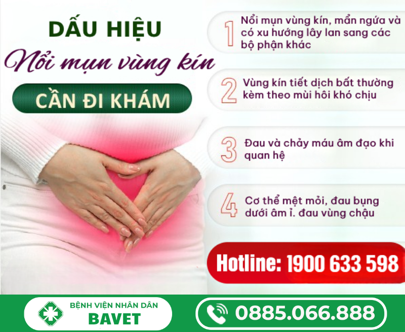 MỌC MỤN GẠO Ở VÙNG KÍN