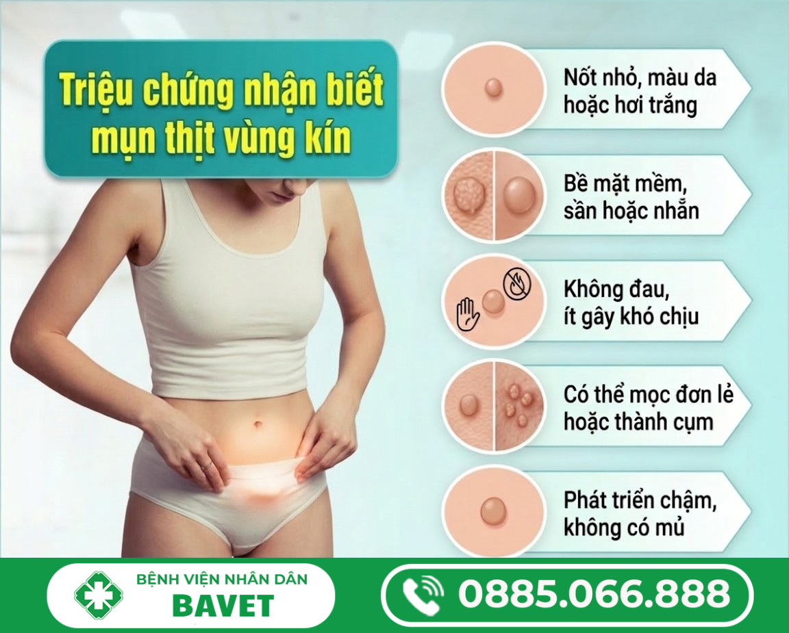 CÁCH CHỮA MỤN CỨNG Ở VÙNG KÍN