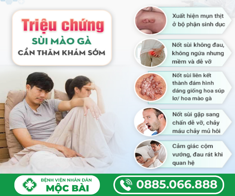 BIỂU HIỆN TRIỆU CHỨNG CỦA BỆNH SÙI MÀO GÀ
