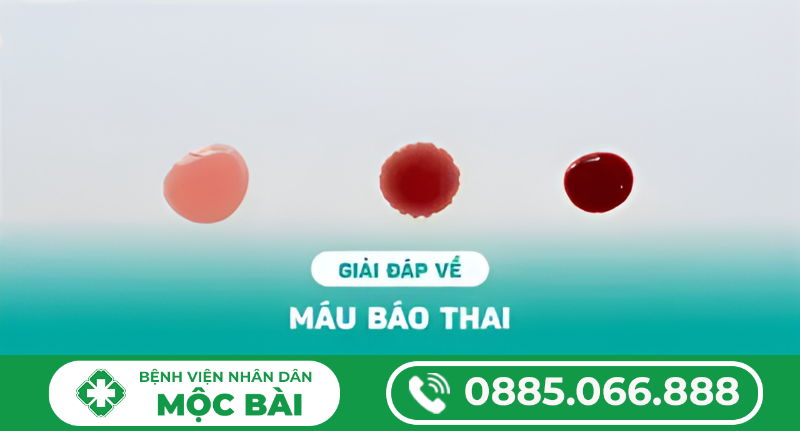 TÌM HIỂU VỀ MÁU BÁO THAI