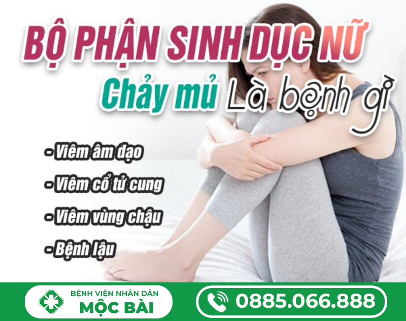 BỘ PHẬN SINH DỤC NỮ CHẢY MỦ