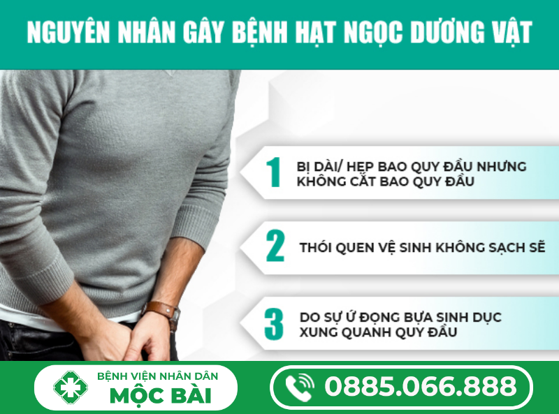TÌM HIỂU VỀ BỆNH HẠT NGỌC Ở DƯƠNG VẬT 