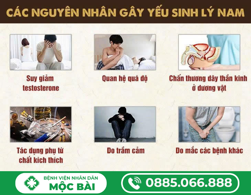 NGUYÊN NHÂN DẪN ĐẾN YẾU SINH LÝ Ở NAM GIỚI