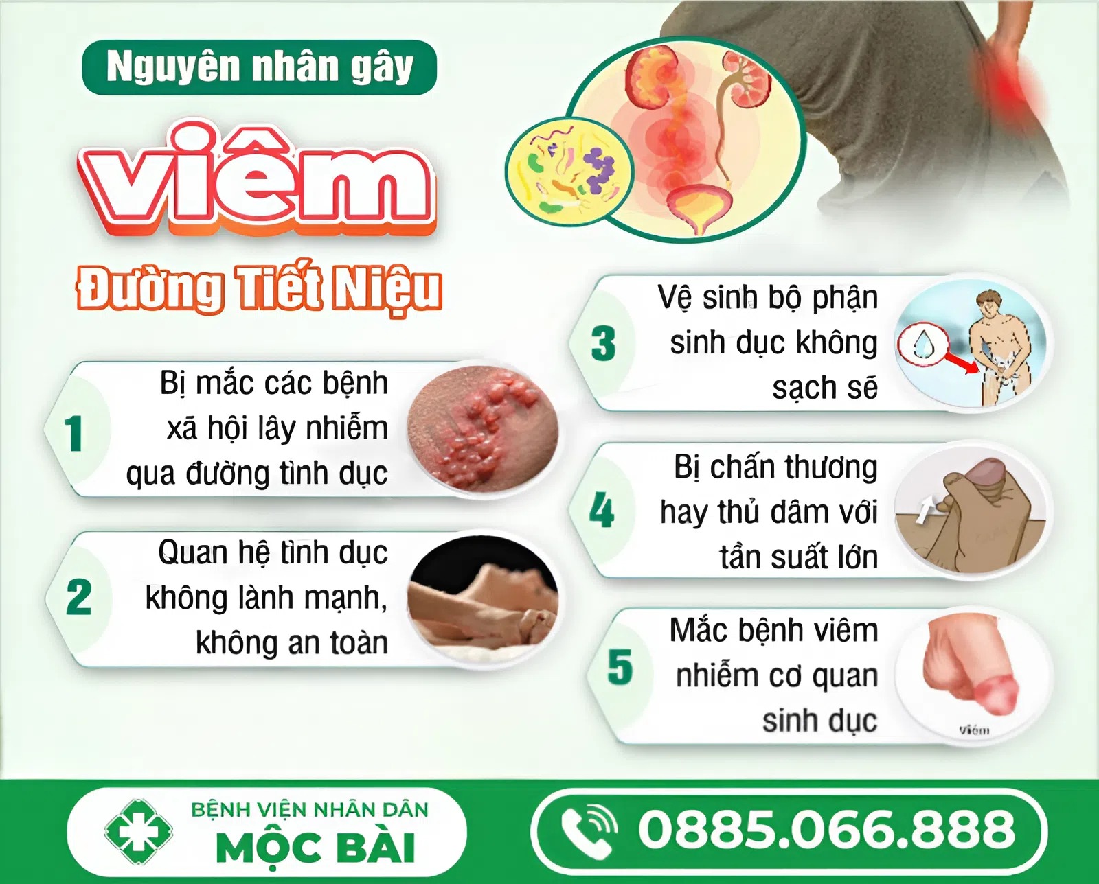 NGUYÊN NHÂN BỊ VIÊM ĐƯỜNG TIẾT NIỆU Ở NAM GIỚI