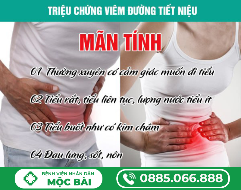 VIÊM ĐƯỜNG TIẾT NIỆU MÃN TÍNH