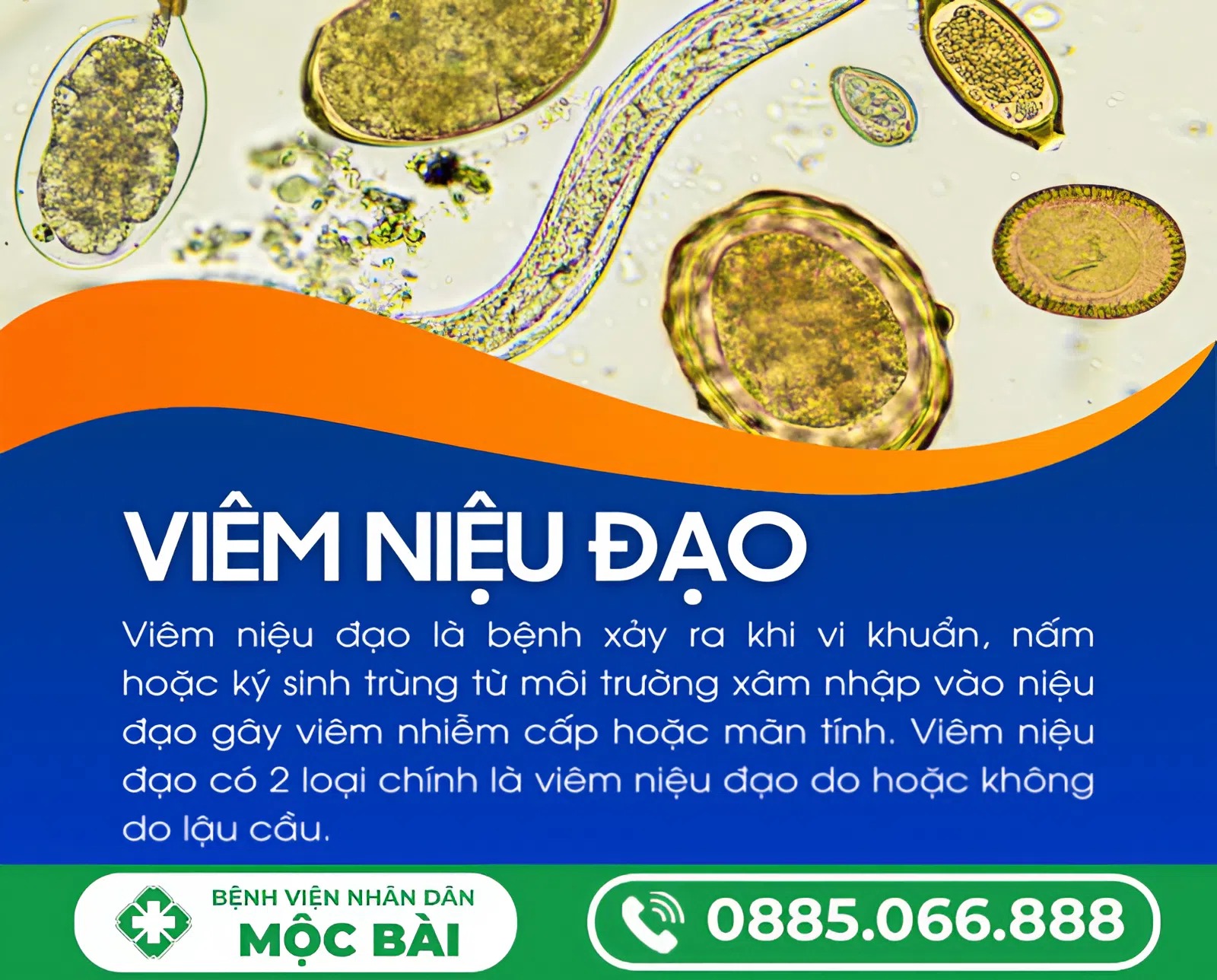 VIÊM NIỆU ĐẠO DO LẬU