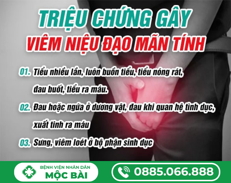 VIÊM NIỆU ĐẠO MÃN TÍNH