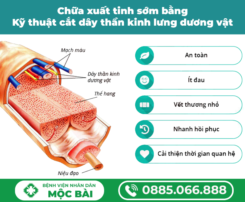 PHƯƠNG PHÁP ĐIỀU KHIỂN DÂY THẦN KINH DƯƠNG VẬT