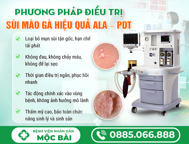CÁCH CHỮA SÙI MÀO GÀ Ở VÙNG KÍN