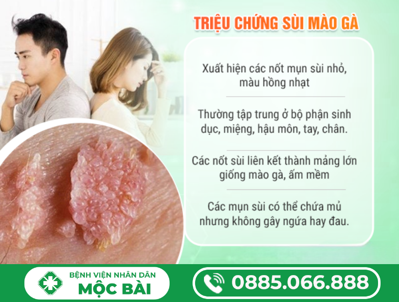 DẤU HIỆU SÙI MÀO GÀ Ở VÙNG KÍN