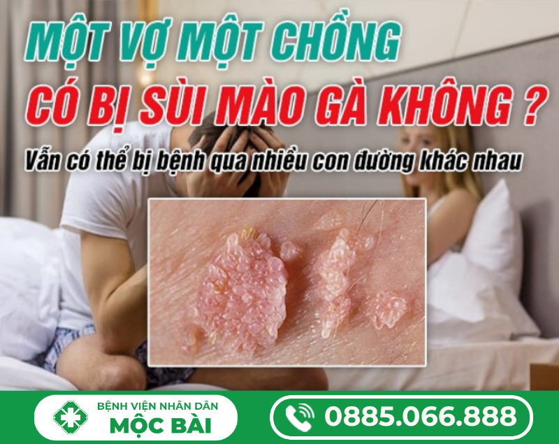 MỘT VỢ MỘT CHỒNG CÓ BỊ SÙI MÀO GÀ KHÔNG?