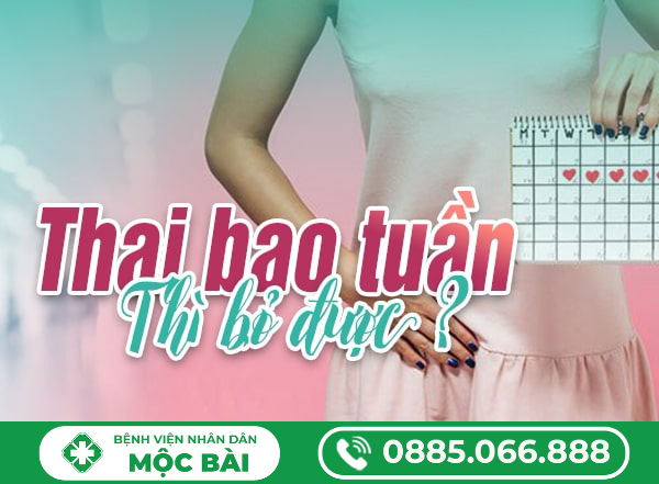 THAI BAO NHIÊU TUẦN THÌ BỎ ĐƯỢC? – GIẢI ĐÁP CHI TIẾT CHO CHỊ EM