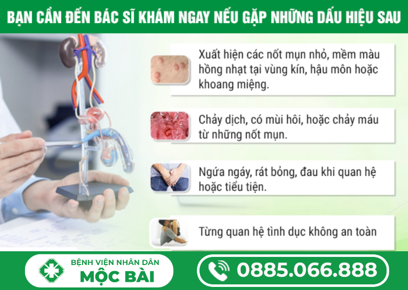 SÙI MÀO GÀ VÀ CÁC VẤN ĐỀ KHI QUAN HỆ