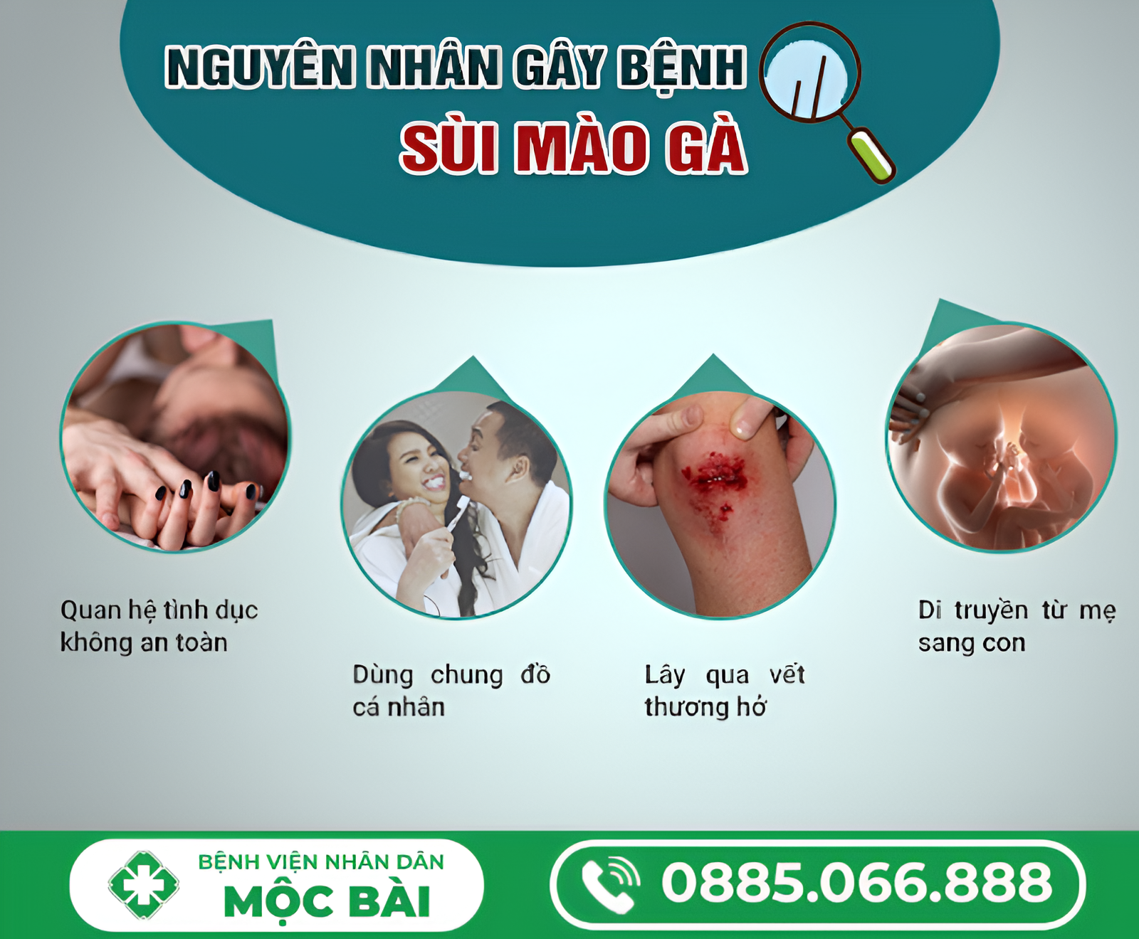PHÂN BIỆT SÙI MÀO GÀ VÀ HẠT NGỌC DƯƠNG VẬT