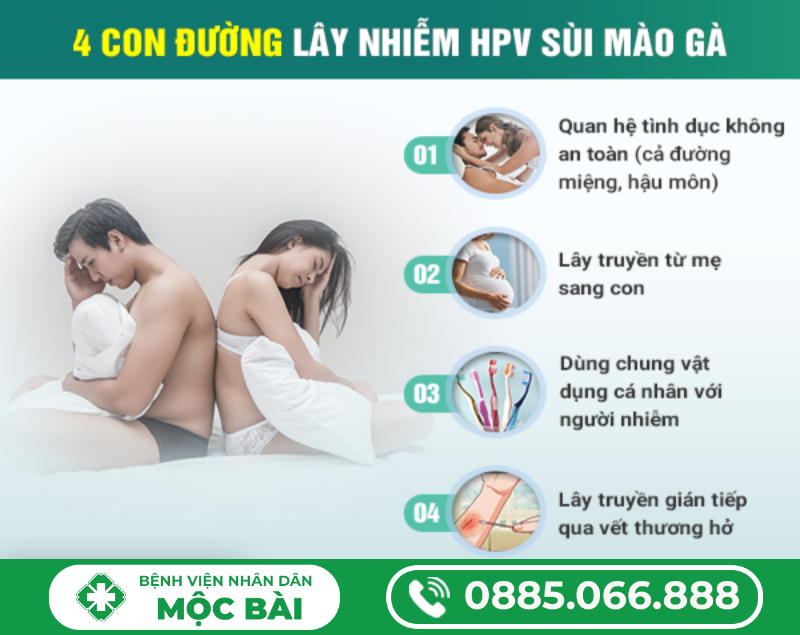 PHÂN BIỆT MỤN SINH DỤC VÀ SÙI MÀO GÀ