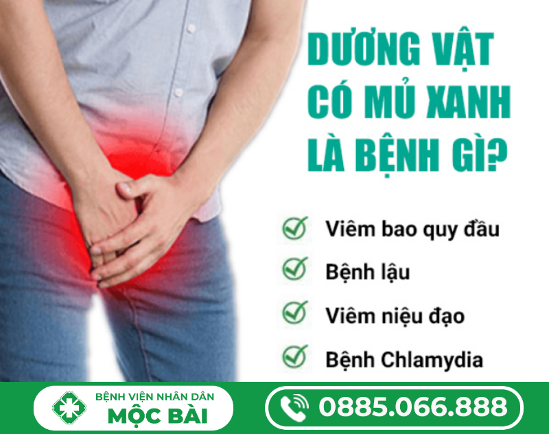 DƯƠNG VẬT CHẢY MỦ XANH