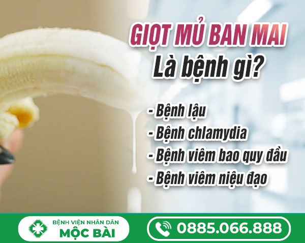 HIỆN TƯỢNG GIỌT MỦ BAN MAI Ở NAM GIỚI