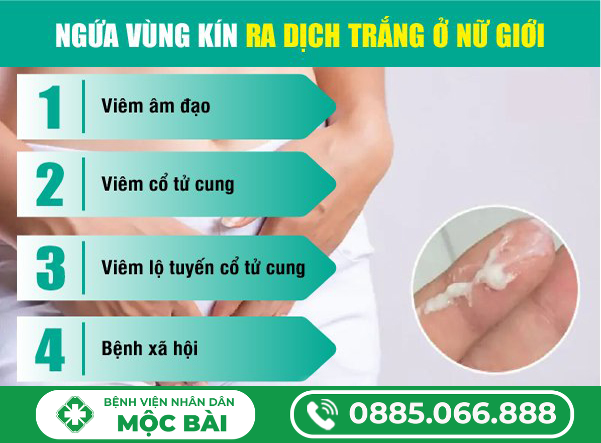 NGỨA VÙNG KÍN RA DỊCH TRẮNG