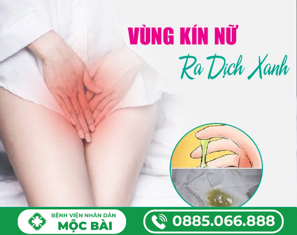 VÙNG KÍN RA DỊCH XANH