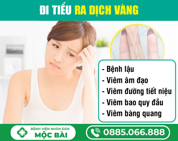 ĐI TIỂU RA DỊCH MÀU VÀNG