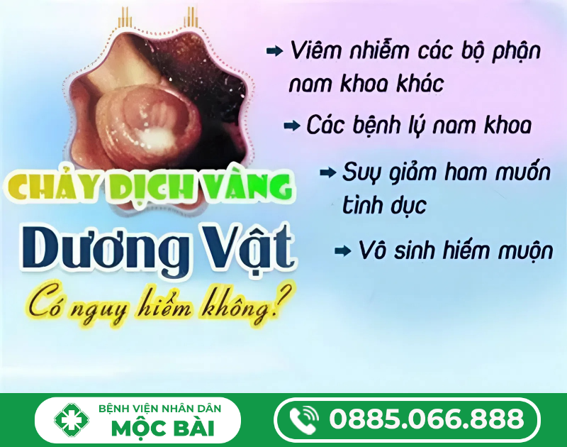 RA DỊCH MÀU VÀNG CÓ SAO KHÔNG?