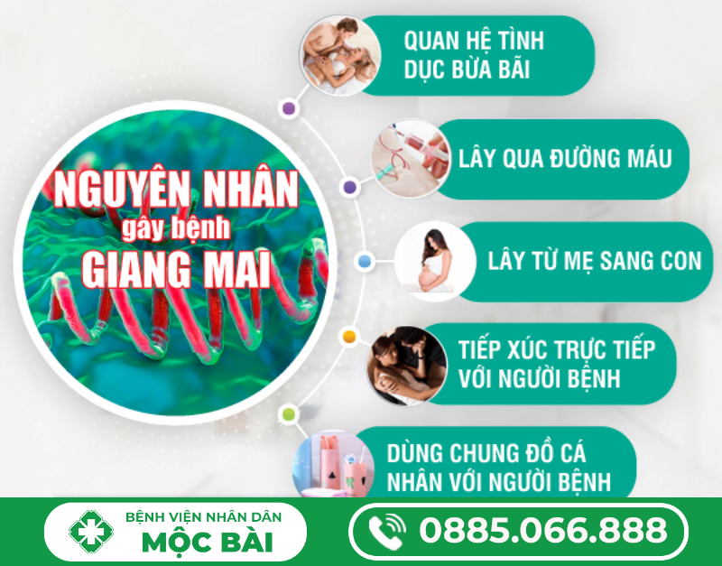 NGUYÊN NHÂN BỊ BỆNH GIANG MAI