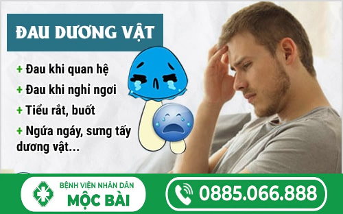 BÁC SỸ TƯ VẤN ĐAU DƯƠNG VẬT