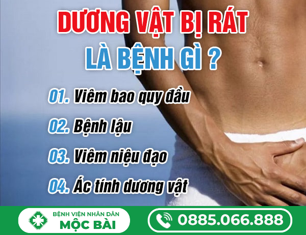 DƯƠNG VẬT BỊ RÁT – NGUYÊN NHÂN, DẤU HIỆU VÀ CÁCH XỬ LÝ