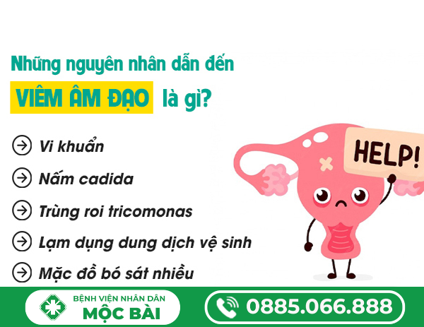NGUYÊN NHÂN GÂY BỆNH VIÊM ÂM ĐẠO