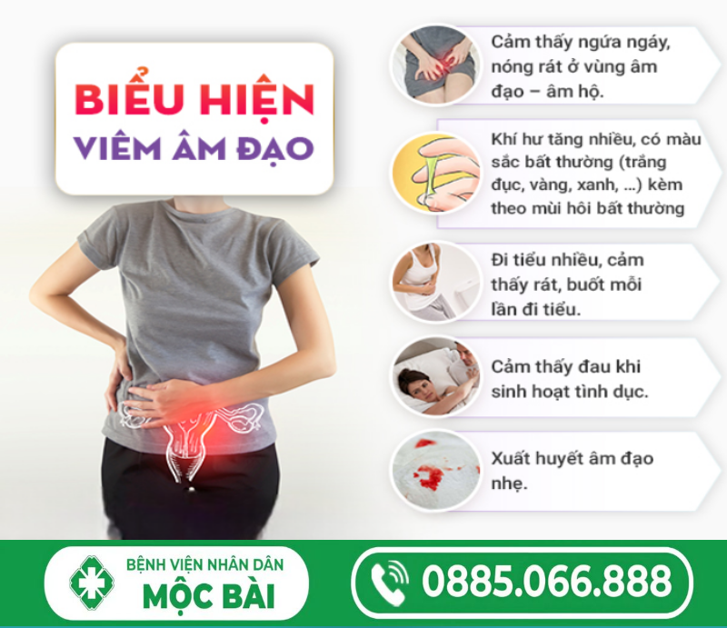 TÌM HIỂU NHIỄM TRÙNG, NHIỄM KHUẨN ÂM ĐẠO