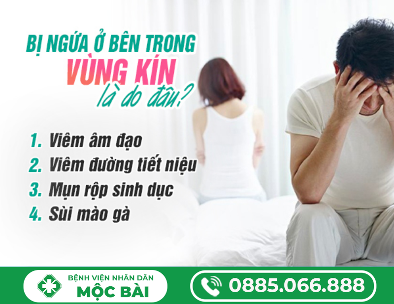 BỊ NGỨA BÊN TRONG VÙNG KÍN