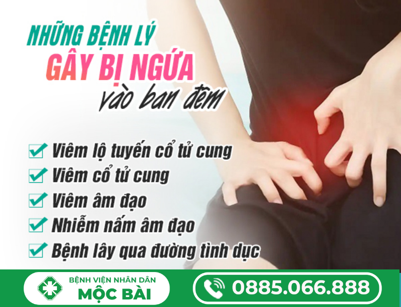 BỊ NGỨA VÙNG KÍN VÀO BAN ĐÊM