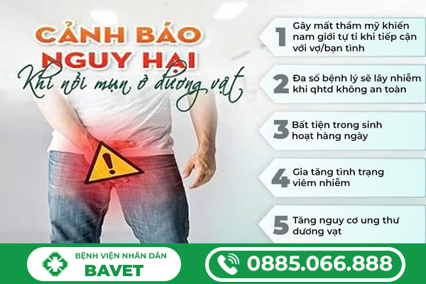QUY ĐẦU NỔI MỤN TRẮNG